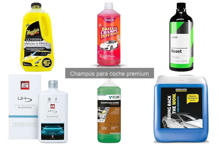 Alternativas a los champús premium para coche: opciones ecológicas