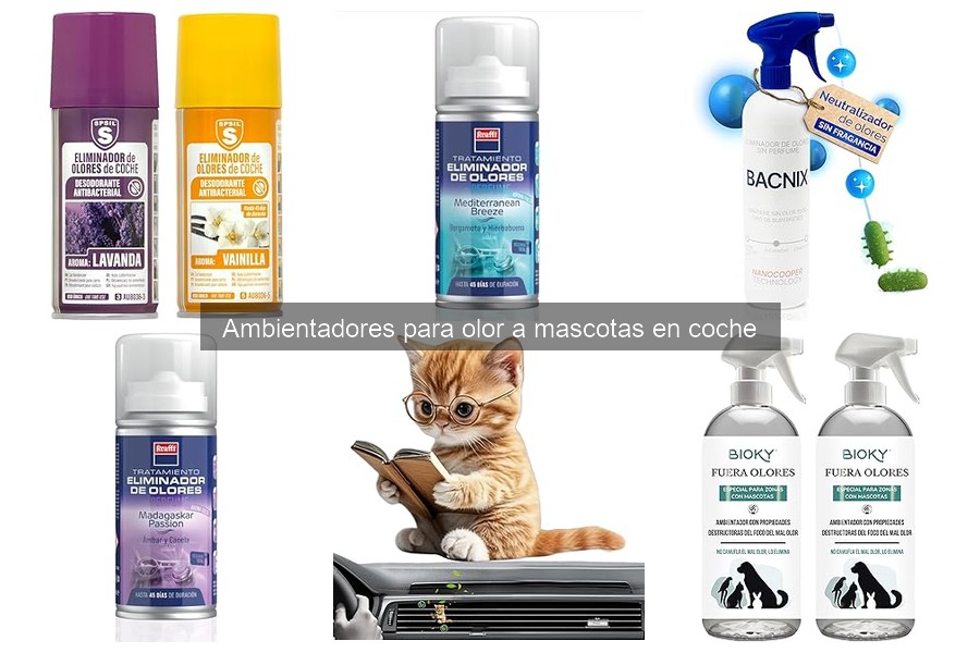 Alternativas Caseras a Ambientadores para Mascotas en Coche