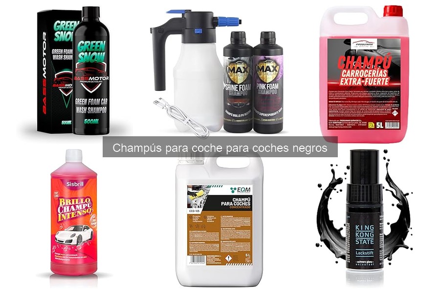 Alternativas Naturales a Champús para Coches Negros