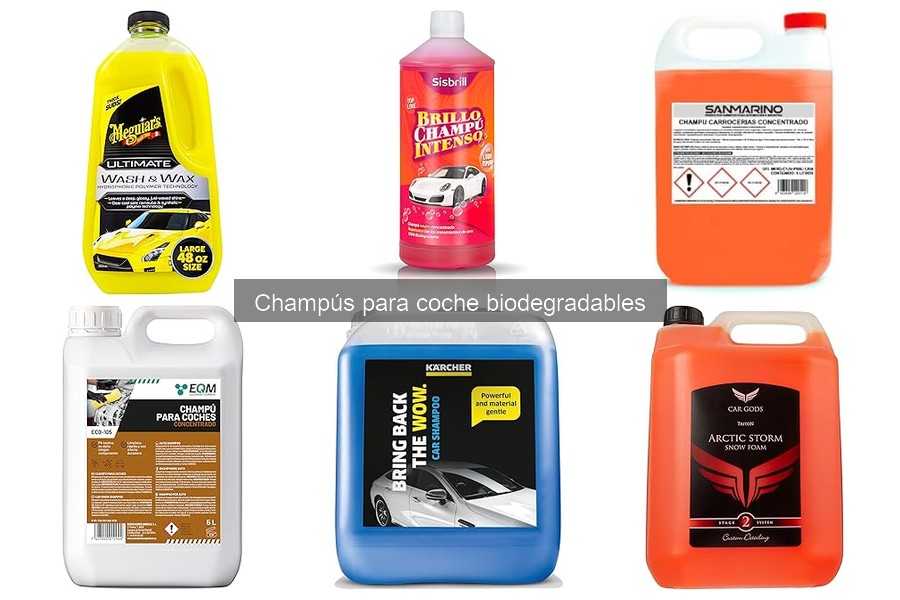Alternativas sostenibles a los champús biodegradables para coche