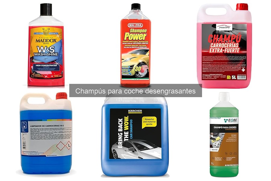 Champús Desengrasantes: ¿Seguros para Todos los Coches?