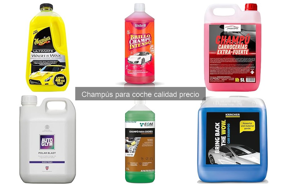 Champús para coche recomendados según superficie