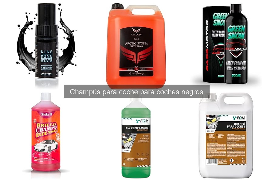 Champús para coches negros: opiniones y experiencias reales