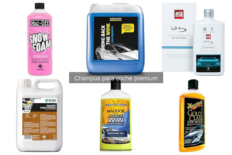 Cómo elegir el champú para coche premium ideal