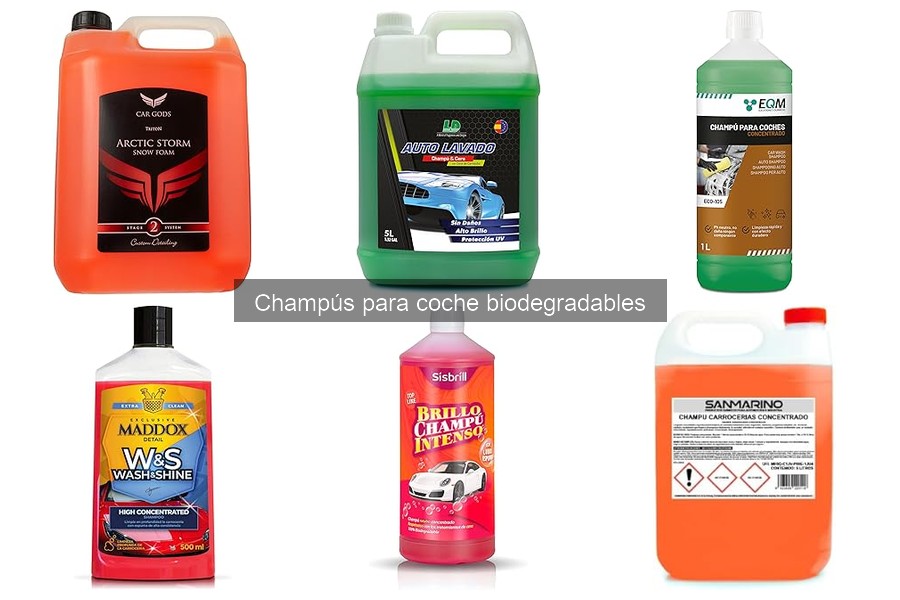 Cómo elegir el mejor champú biodegradable para tu coche