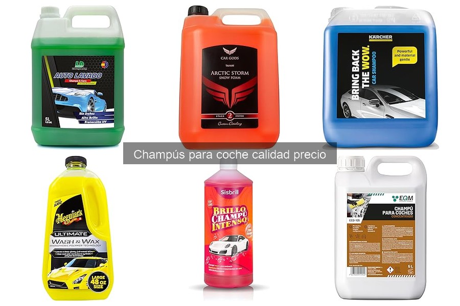 Cómo elegir el mejor champú para coche calidad-precio