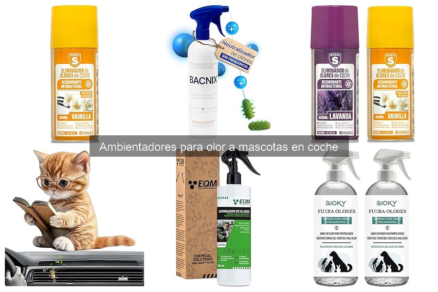 Cómo eliminar el olor a mascotas en tu coche fácilmente