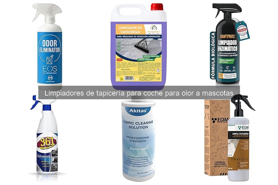 Cómo prevenir olores de mascotas en la tapicería del coche
