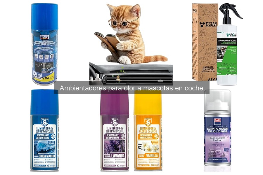 Comparativa: Ambientadores de Papel vs Aerosoles para Coches