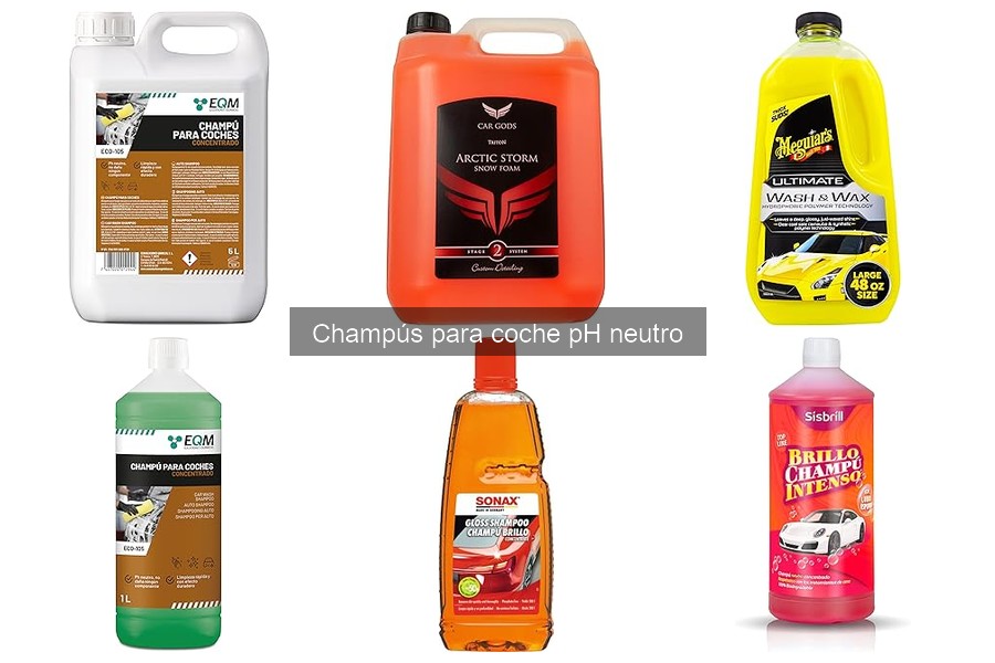Comparativa: Champús pH Neutro vs. Convencionales para Coche