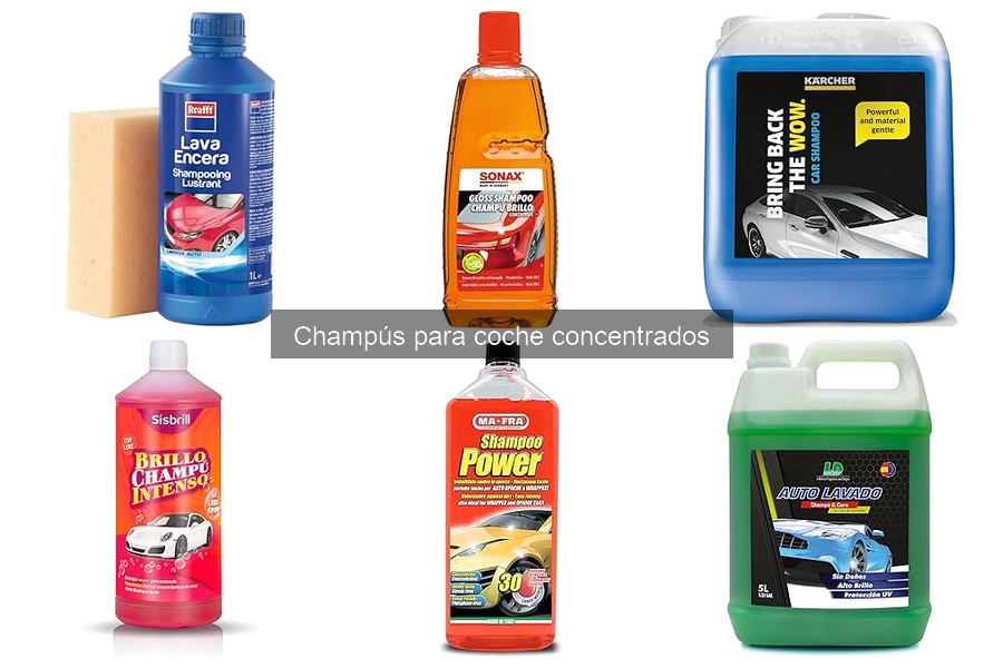 Comparativa de Champús Concentrados para Coche: Mejores Marcas