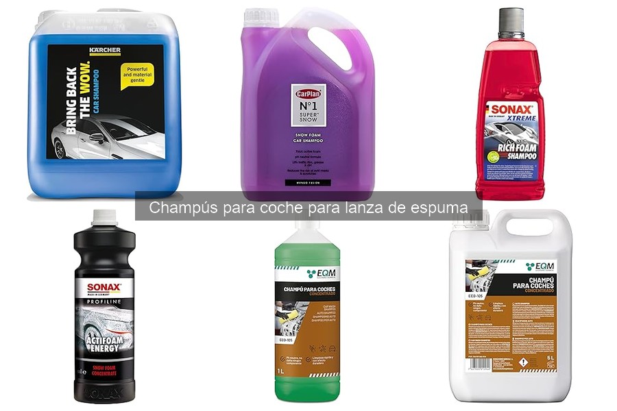 Comparativa de Champús para Coche con Lanza de Espuma