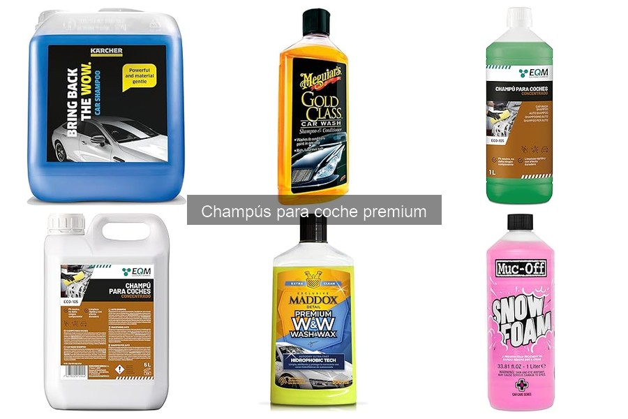 Comparativa de Champús Premium y Económicos para Coche