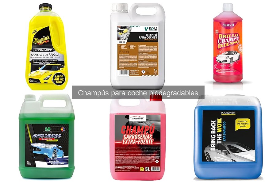 Comparativa de los mejores champús biodegradables para coches