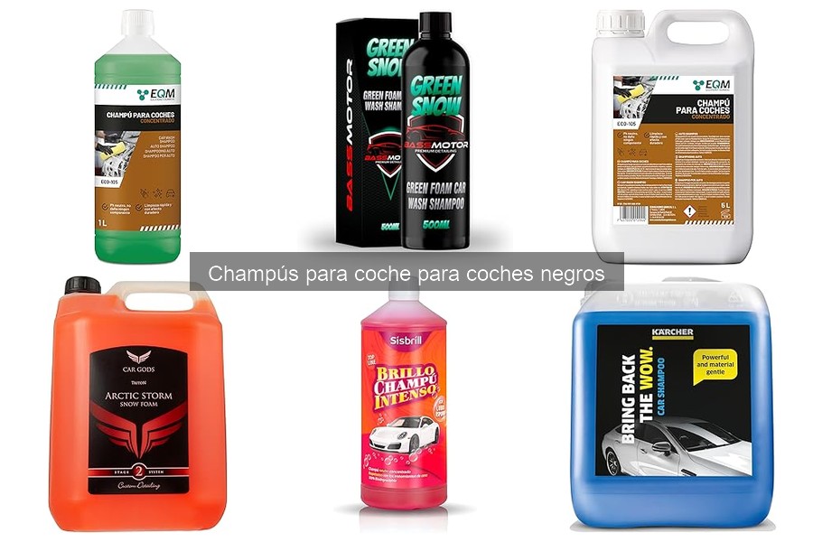 Comparativa de los Mejores Champús para Coches Negros