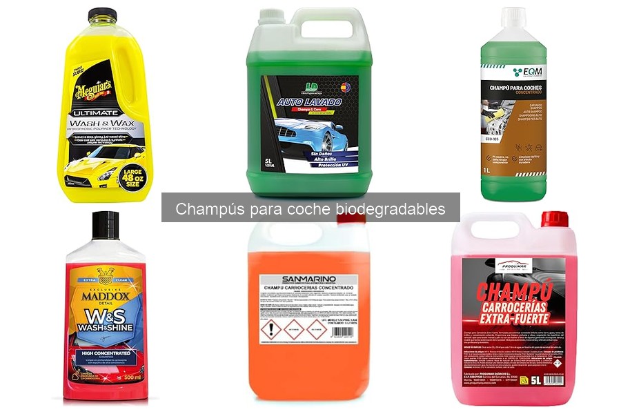 Dónde comprar champús biodegradables para coche de calidad