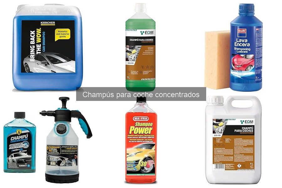 Dónde comprar champús concentrados para coche: mejores opciones