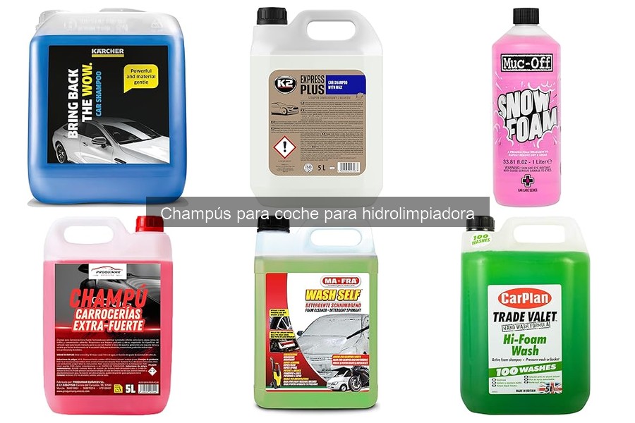 Donde comprar champús para coche compatibles con hidrolimpiadora