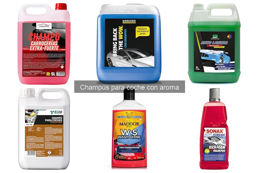 Dónde comprar champús para coche con aroma a buen precio