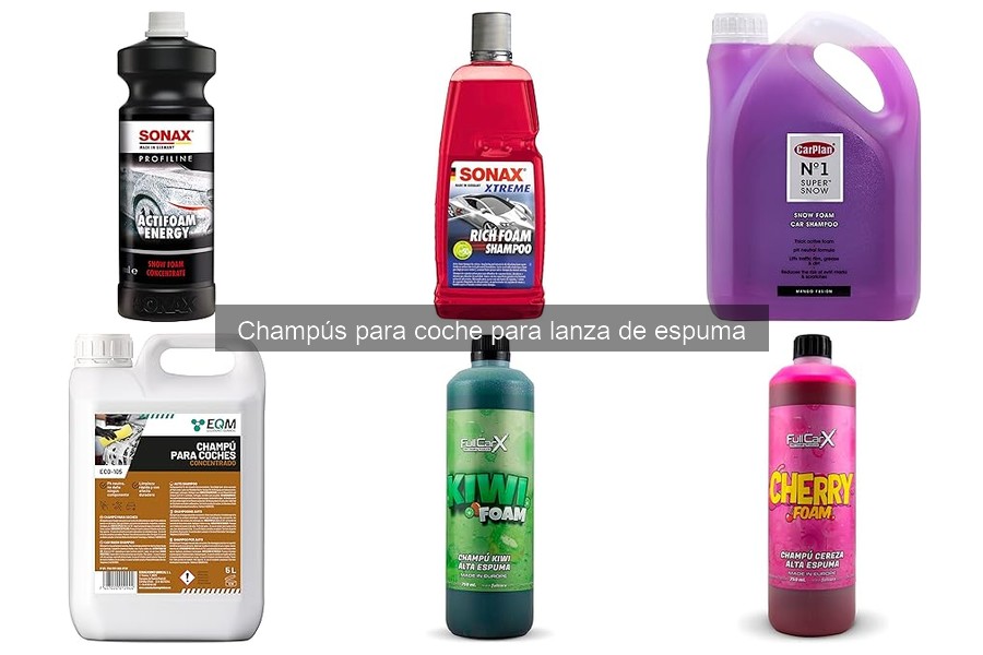 Dónde comprar champús para coche con lanza de espuma