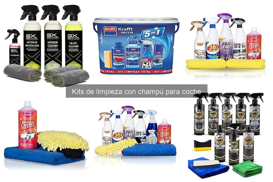 Dónde comprar kits de limpieza con champú para coche