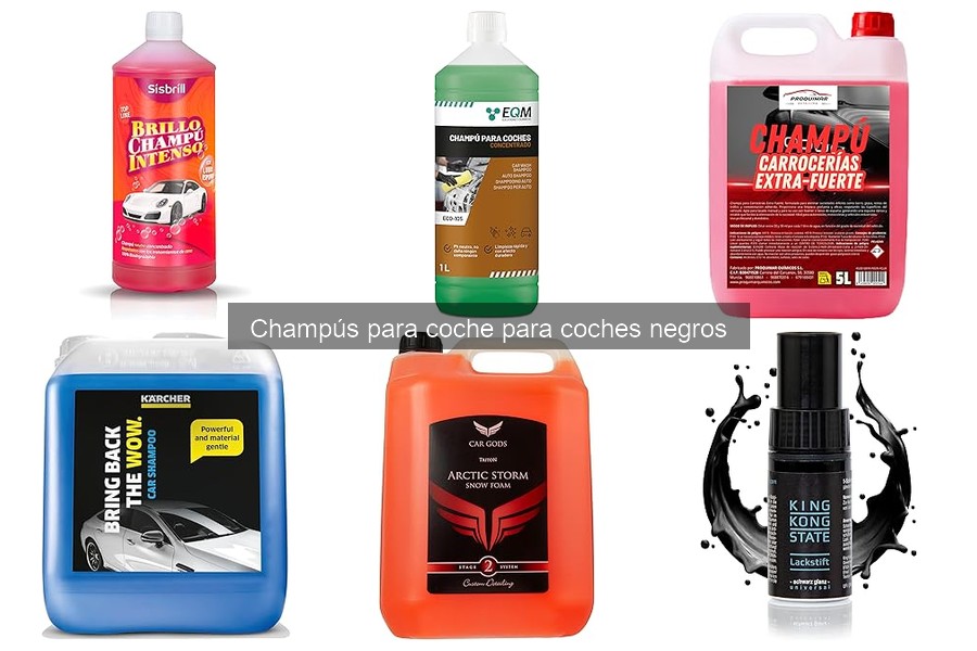 Guía de compra: champús para coche negro que debes conocer
