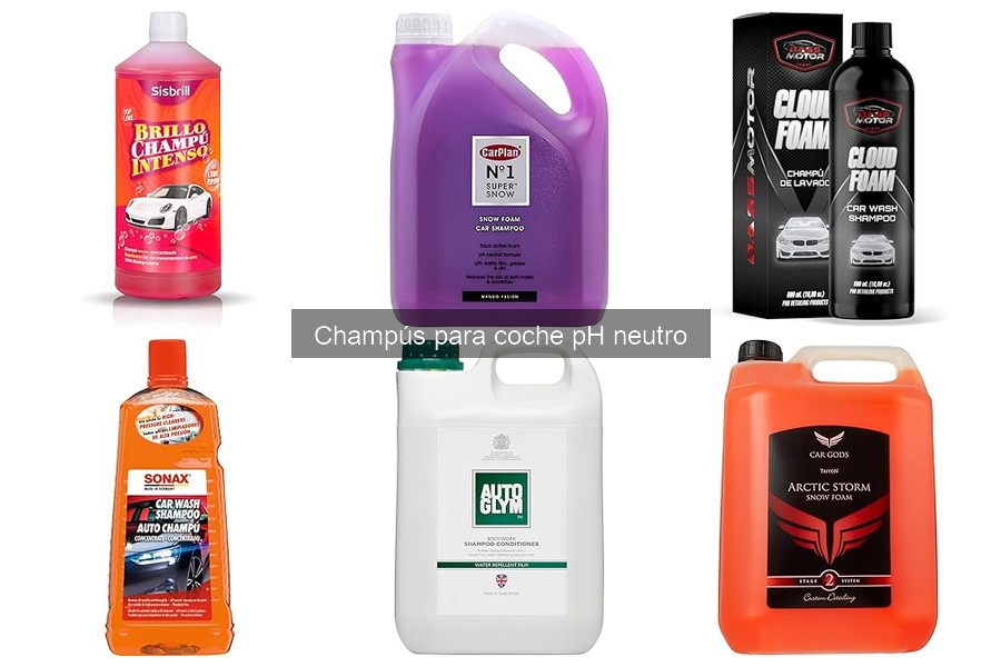 Guía de compra: champús para coche pH neutro