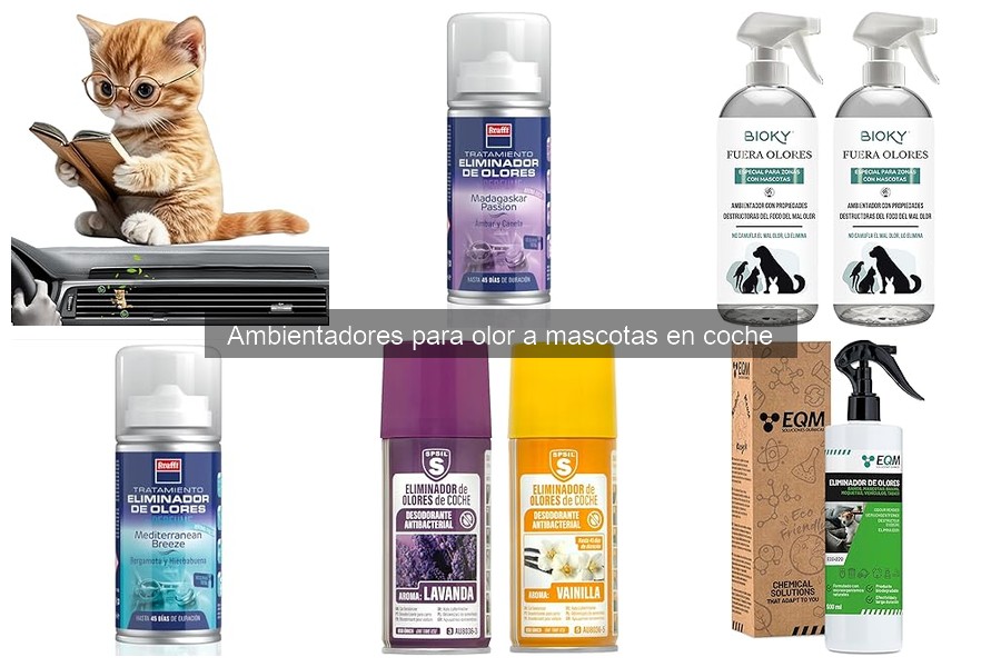 Ingredientes seguros en ambientadores para coches: ¿cuáles son?