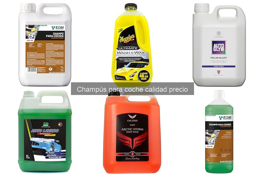Mejores champús para coche en calidad-precio en 2023