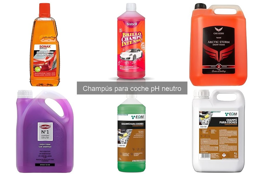 Mejores champús para coche pH neutro del mercado en 2023