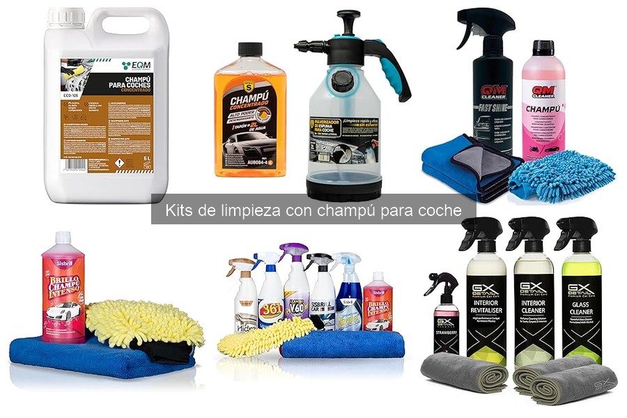 Mejores kits de limpieza con champú para coche en 2023