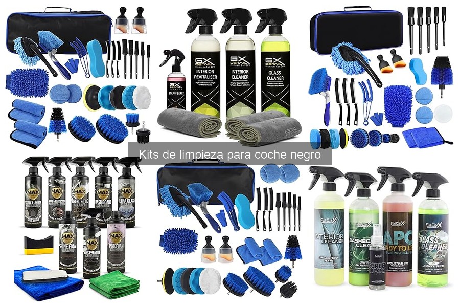 Mejores kits de limpieza para coche negro en 2023