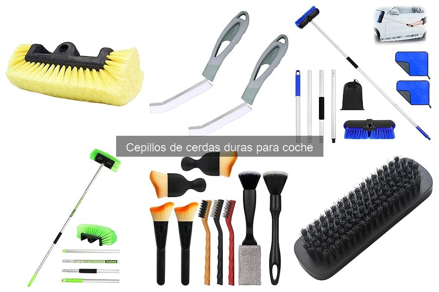 Opiniones de Cepillos de Cerdas Duras para Coche