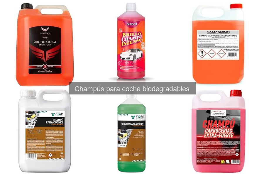Opiniones sobre champús biodegradables para coche