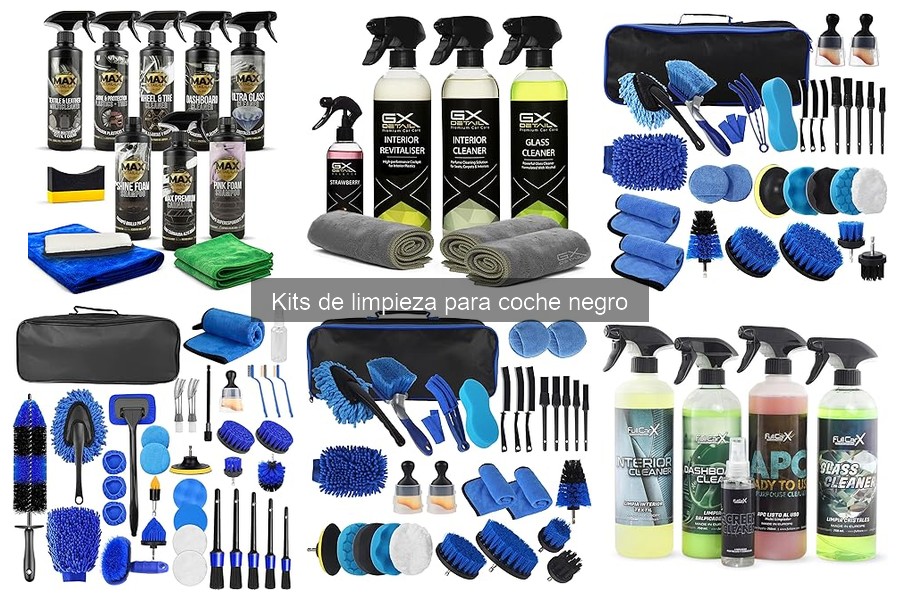 Opiniones sobre Kits de Limpieza para Coche Negro