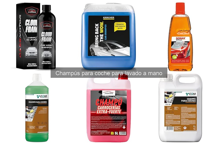 Precio promedio de champús para coche: guía de costos
