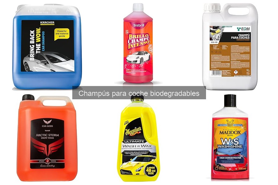 ¿Qué son los champús biodegradables para coche?