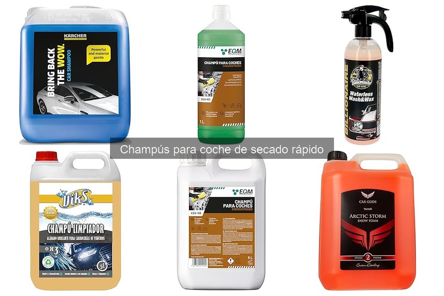 Recomendaciones para usar champú de coche en climas variados