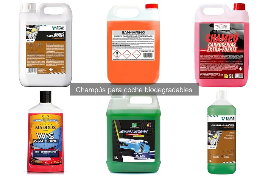 Tipos de champús biodegradables para coche: guía completa