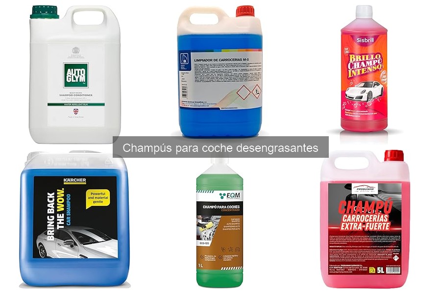 Tipos de Champús Desengrasantes para Coche: Guía Completa