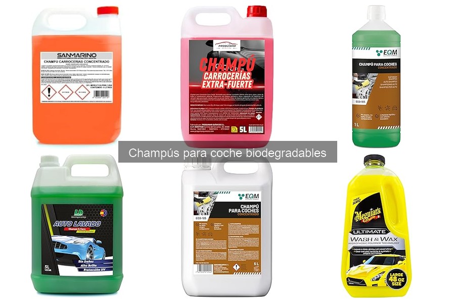 Ventajas de Champús Biodegradables para Limpiar tu Coche